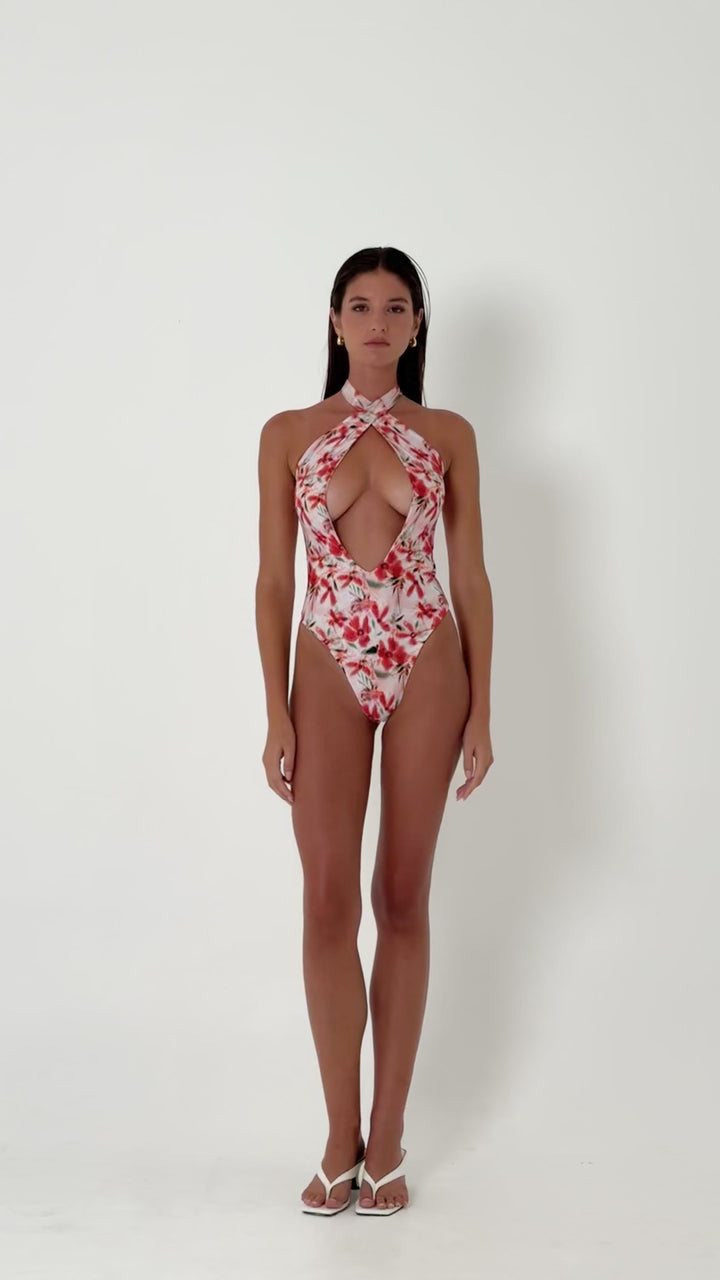 Florencia One Piece